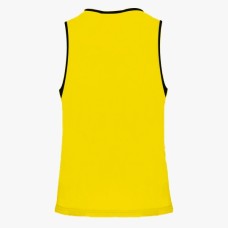 LOT DE 10 CHASUBLES DE SPORT